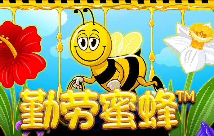 下载355彩票平台